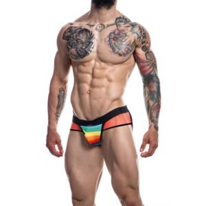 cut4men c4m13 jockstrap rainbow