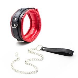 Puppy Collar con correa acolchado negro y rojo con correa metálica
